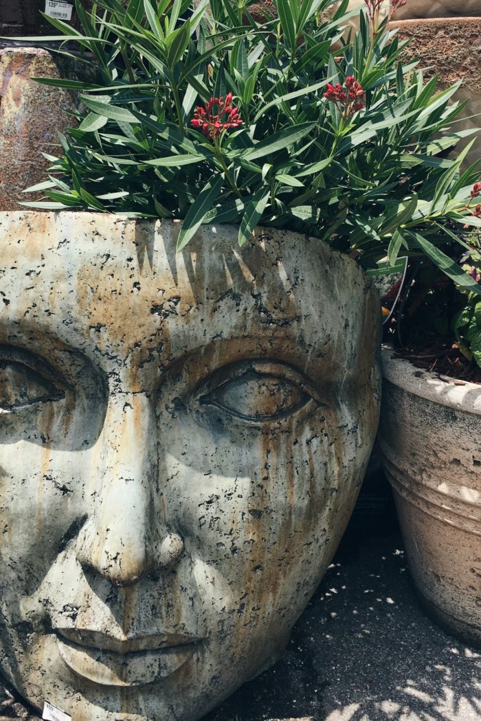 Lessons from a Funky Face Planter