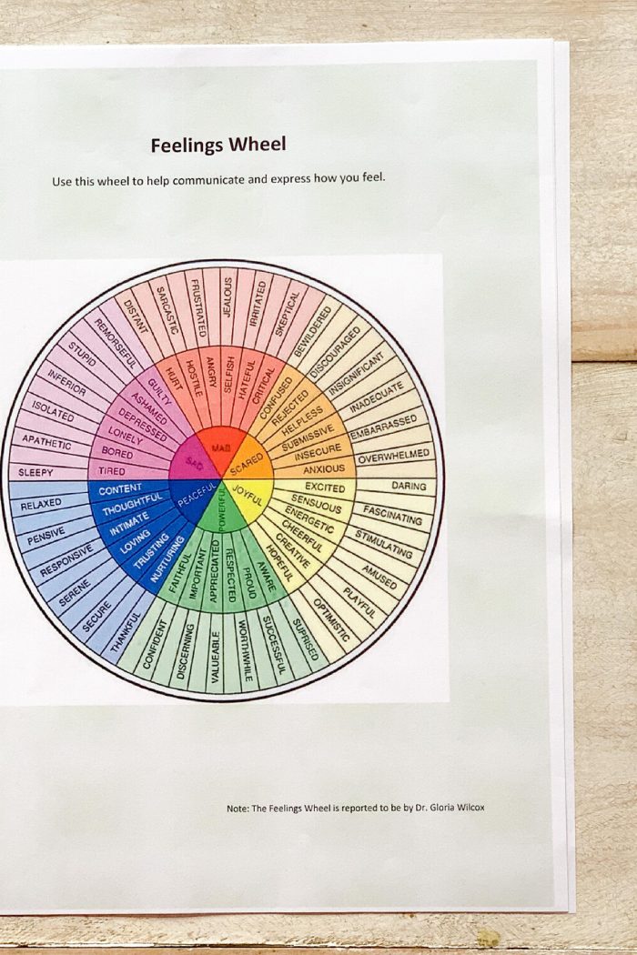 Checking In With the Feelings Wheel (Navigating the Coronavirus)